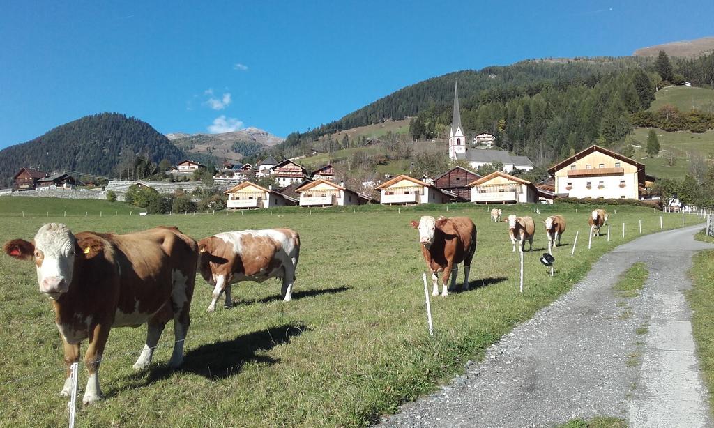 Moelltaler Ferienhaeuser Großkirchheim Esterno foto